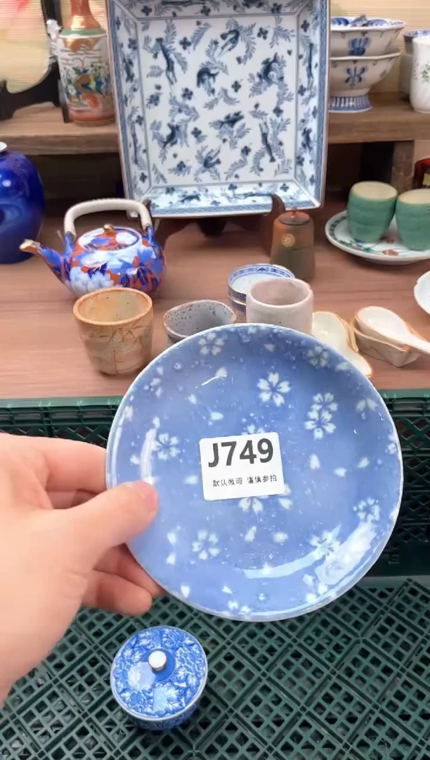 瓷片云***-749
