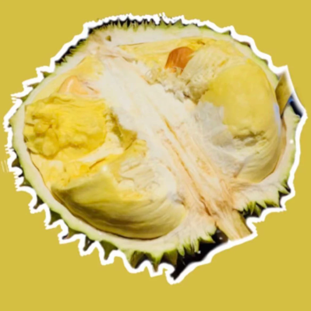 【福利果榴莲小时达】现场开果选果新鲜树熟榴莲千克核小金枕泰国榴莲同城送金枕泰国