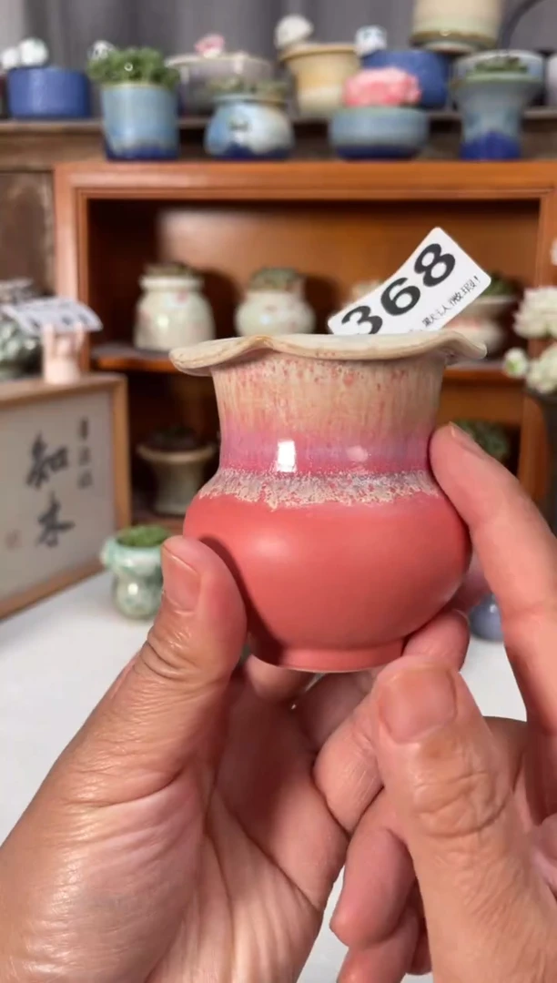 瓷片368小芳直播编号