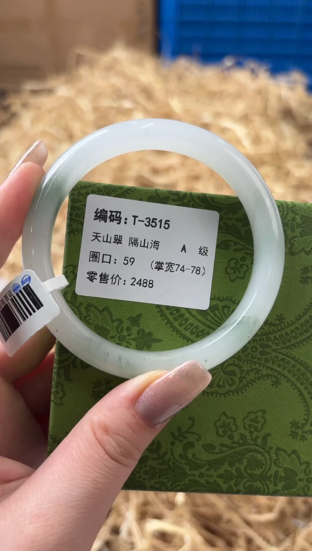 未镶嵌手镯石英质玉T-3515