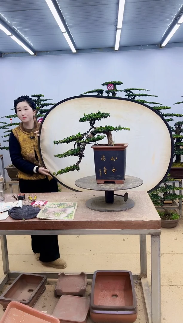 无花朵一物一拍，所见即所得