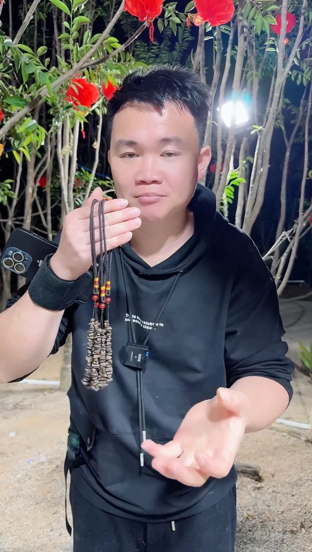 【闪购商品】沉香沉香碎屑沉水 车 多样性发1