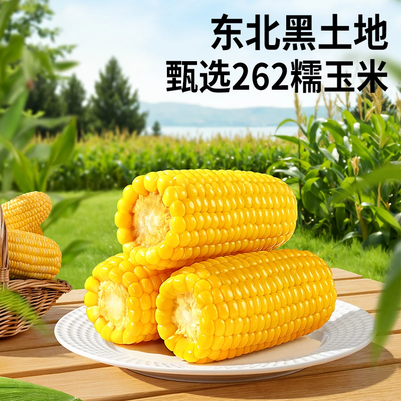【到手10根】三只松鼠东北黄糯玉米金糯262真空包装甜糯玉米杂粮dy