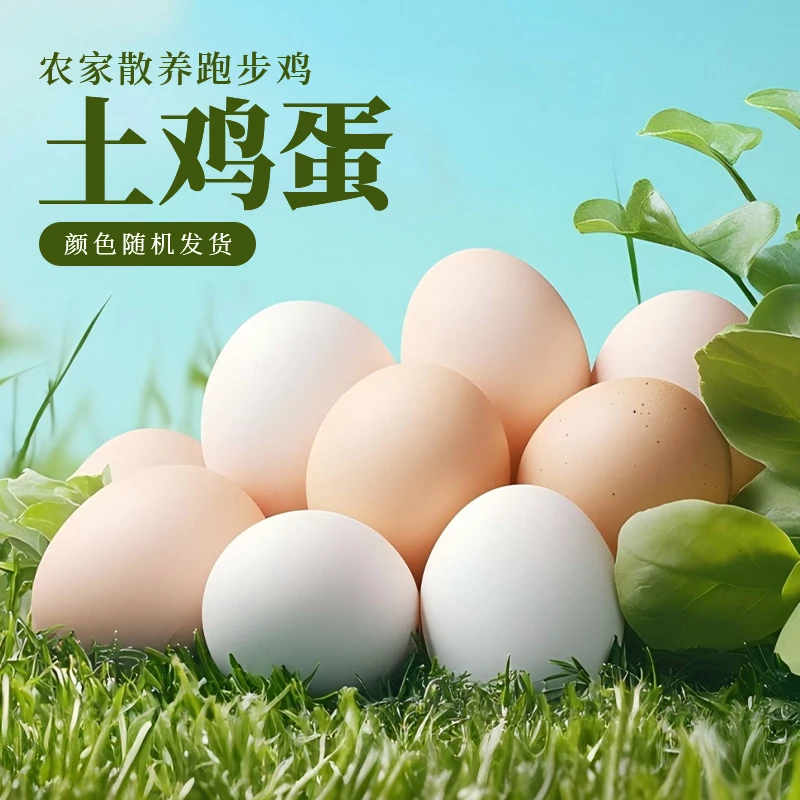 农家散养土鸡蛋乌鸡蛋混装