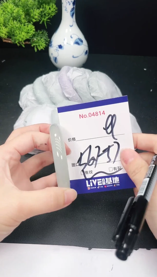 未镶嵌手镯翡翠4814