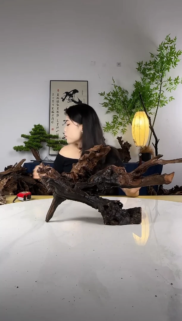 坦*~拍这个定向编号33