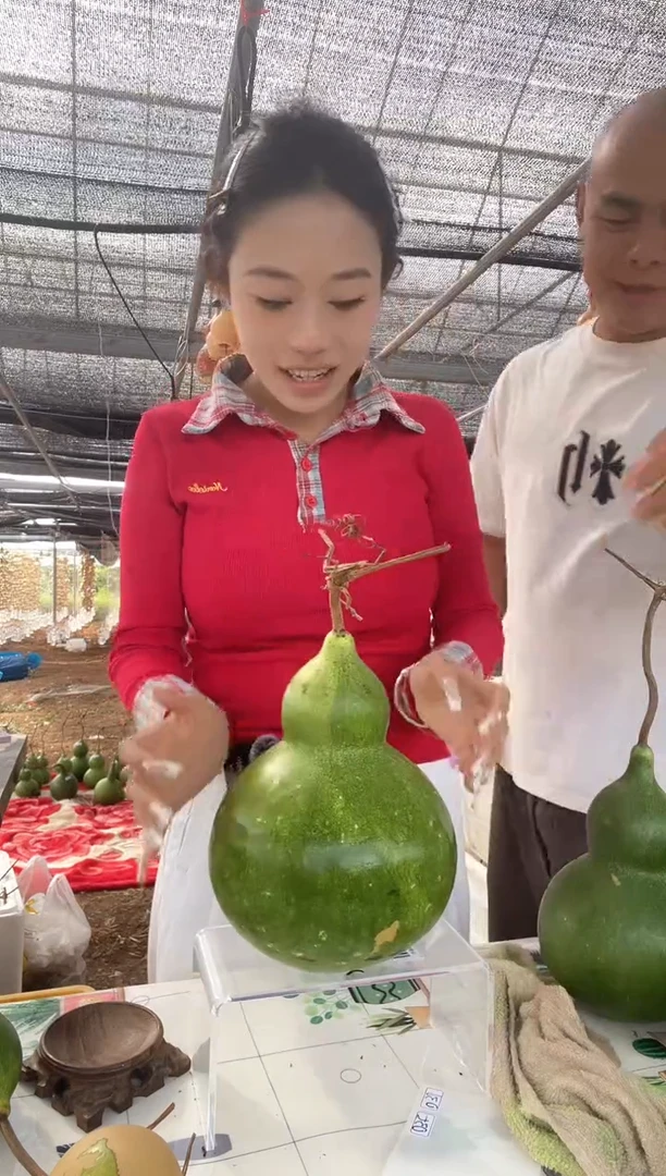 035天然葫芦摆件 一物一拍龙头不保售后