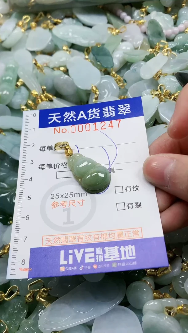 颈饰未镶嵌翡翠纯天然a货翡翠