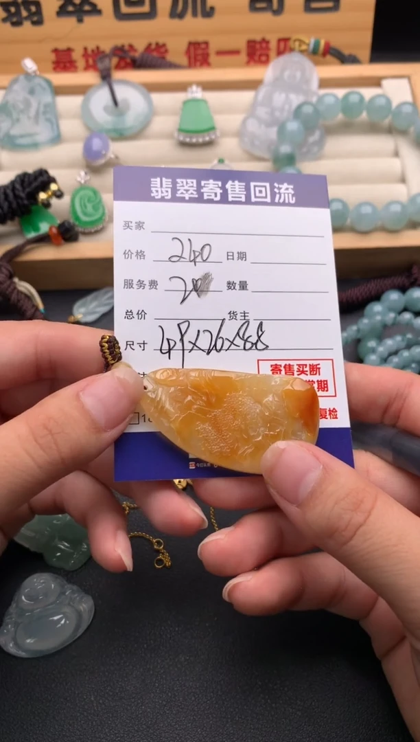 翡翠未镶嵌颈饰10137539