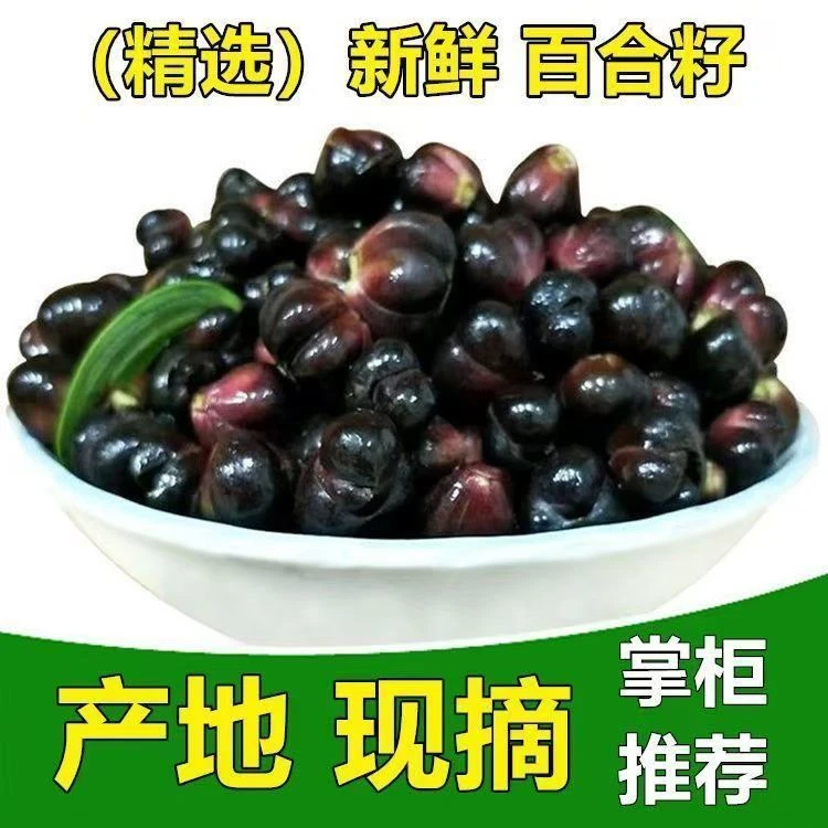 新鲜百合籽现摘可食用百合籽龙山百合籽夏日煲汤煲粥推荐微苦