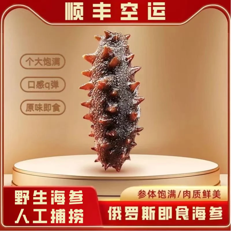 俄罗斯即食海参 野生六排刺口感Q弹500g/1盒 礼盒装顺丰包邮