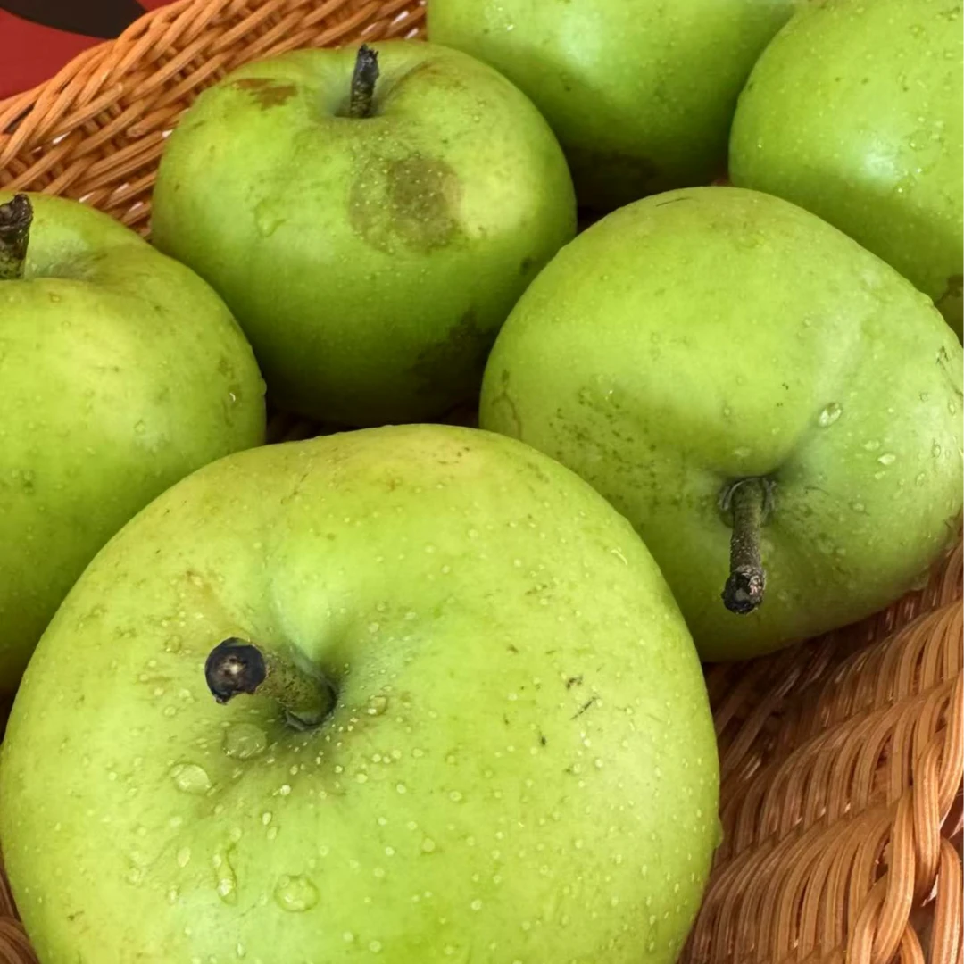 【苹果梨】苹果梨5斤脆甜好吃新鲜梨新鲜多汁顺丰发货可口美味