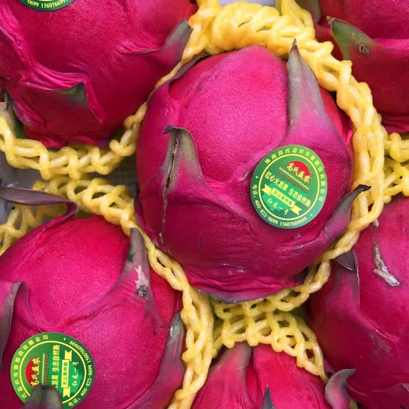 红心火龙果约600-700g1个