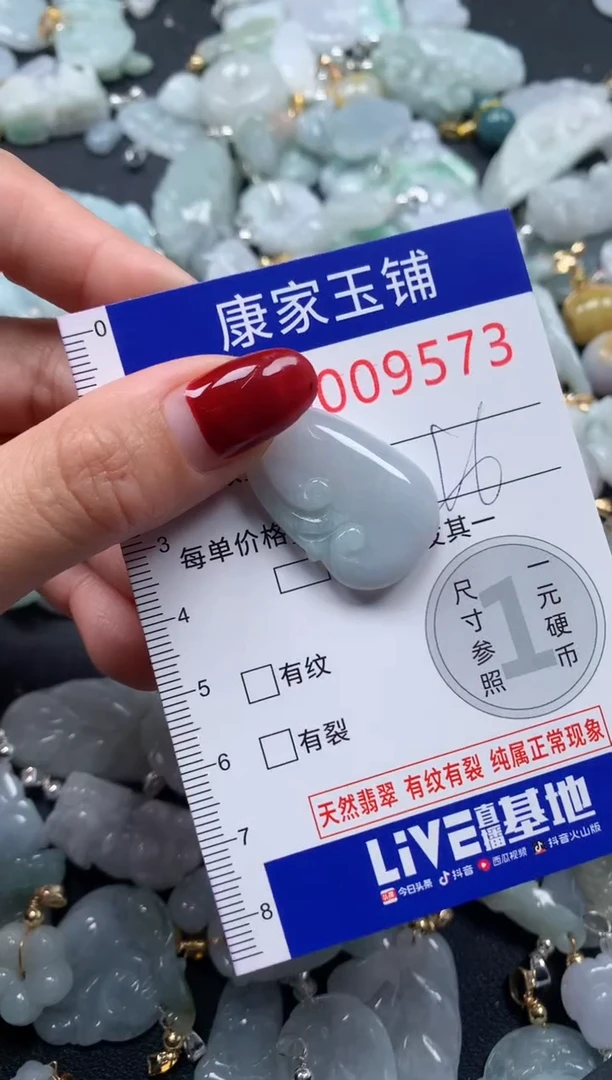 颈饰未镶嵌翡翠9573