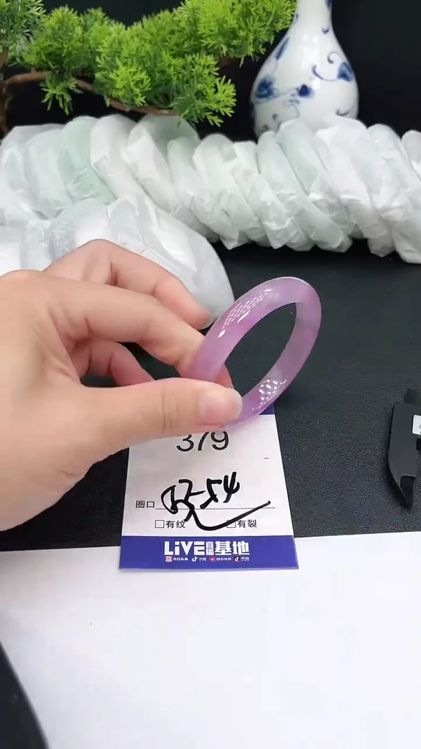 未镶嵌手镯翡翠379