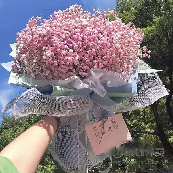 【恋爱告白】送女友粉色满天星花束-女神款鲜花同城配送上门