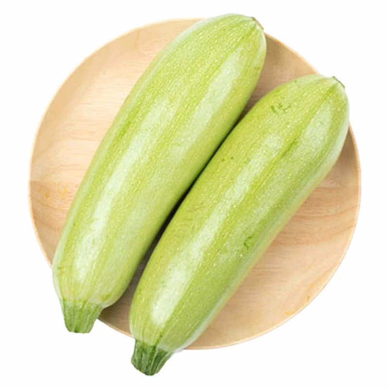 山东西葫芦新鲜现摘