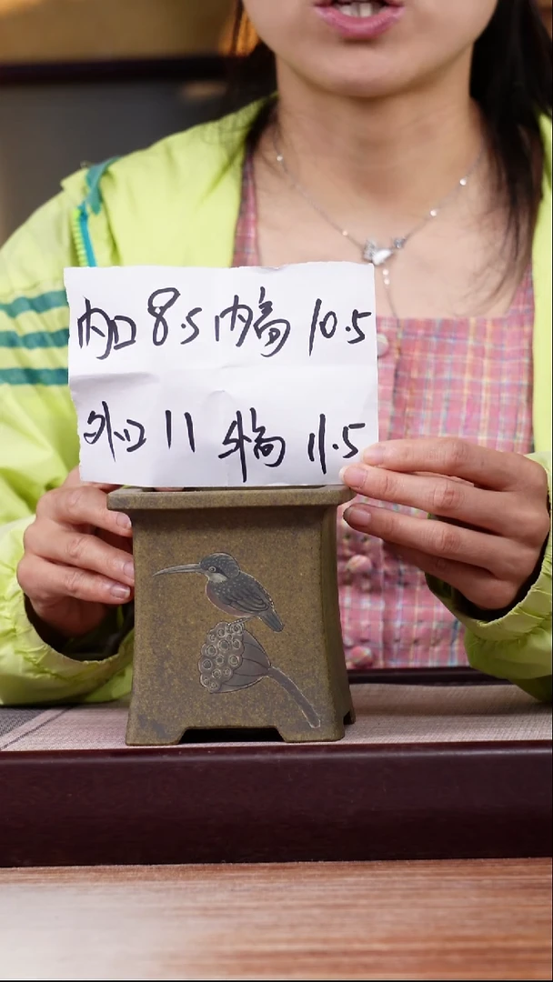 紫砂花盆龙骨青砂绘莲子鸟小四方一只无托
