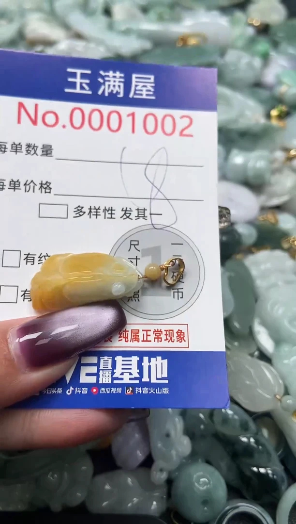 颈饰未镶嵌翡翠1002