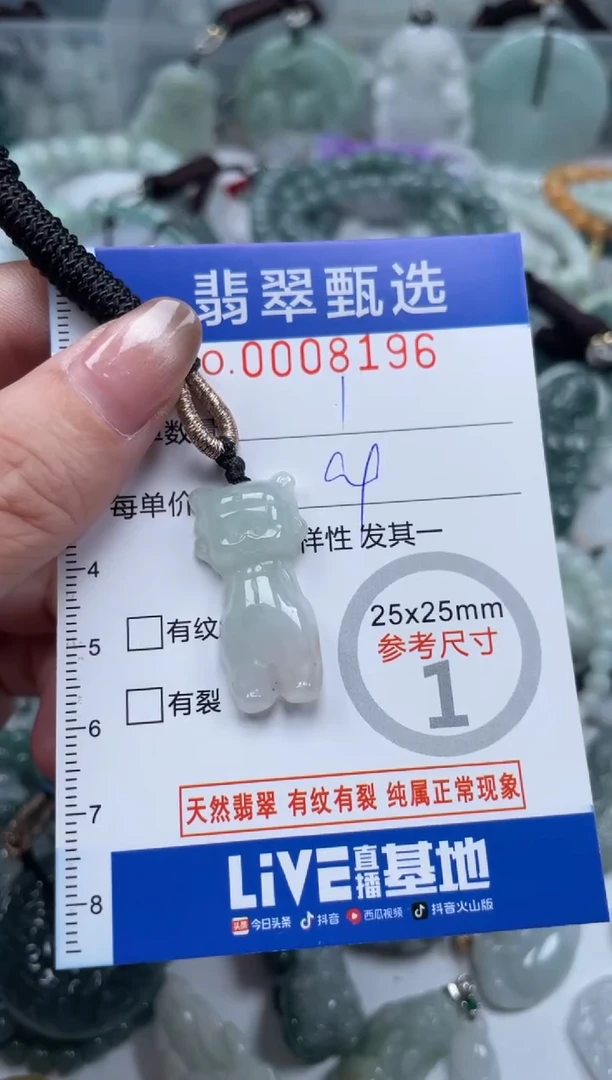 翡翠未镶嵌颈饰00..8196