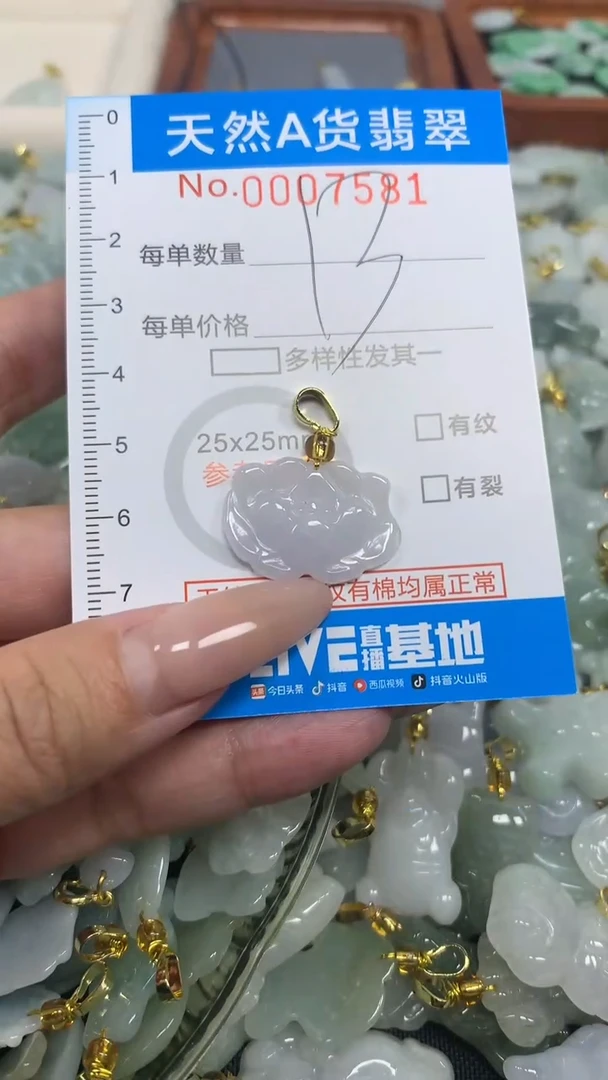 翡翠未镶嵌颈饰净货挂件-7581