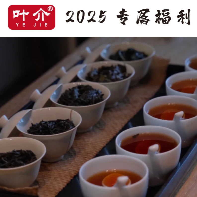 叶介~9月专属福利7 武夷岩茶 临时福利组合