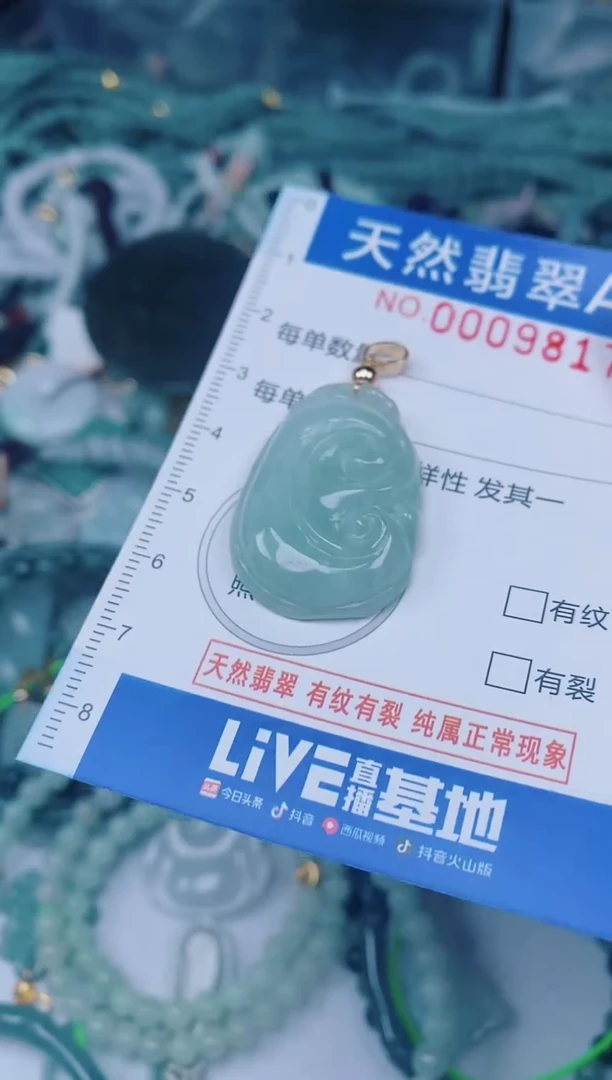 颈饰未镶嵌翡翠00009817