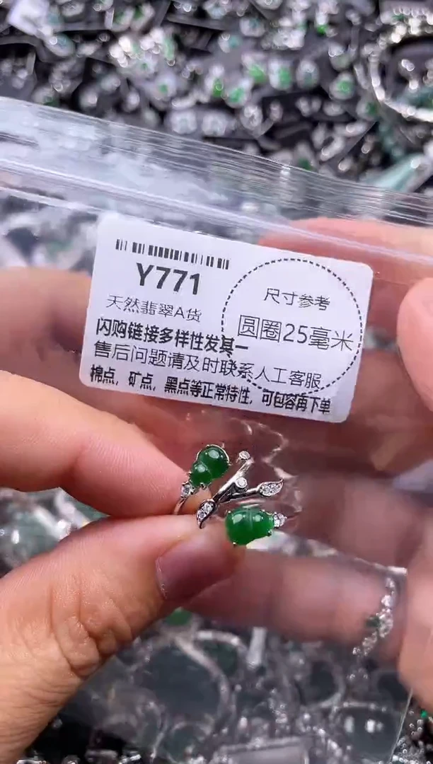 翡翠未镶嵌颈饰Y771戒指 多样性发其一