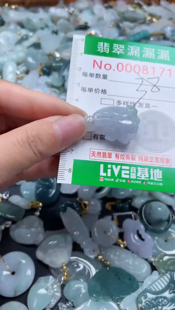 颈饰未镶嵌翡翠8171