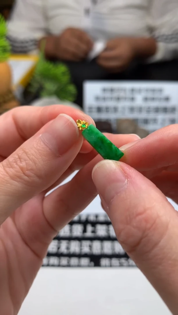 颈饰未镶嵌翡翠十****康---106356