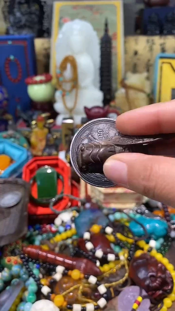 龙龙龙龙龙龙龙龙