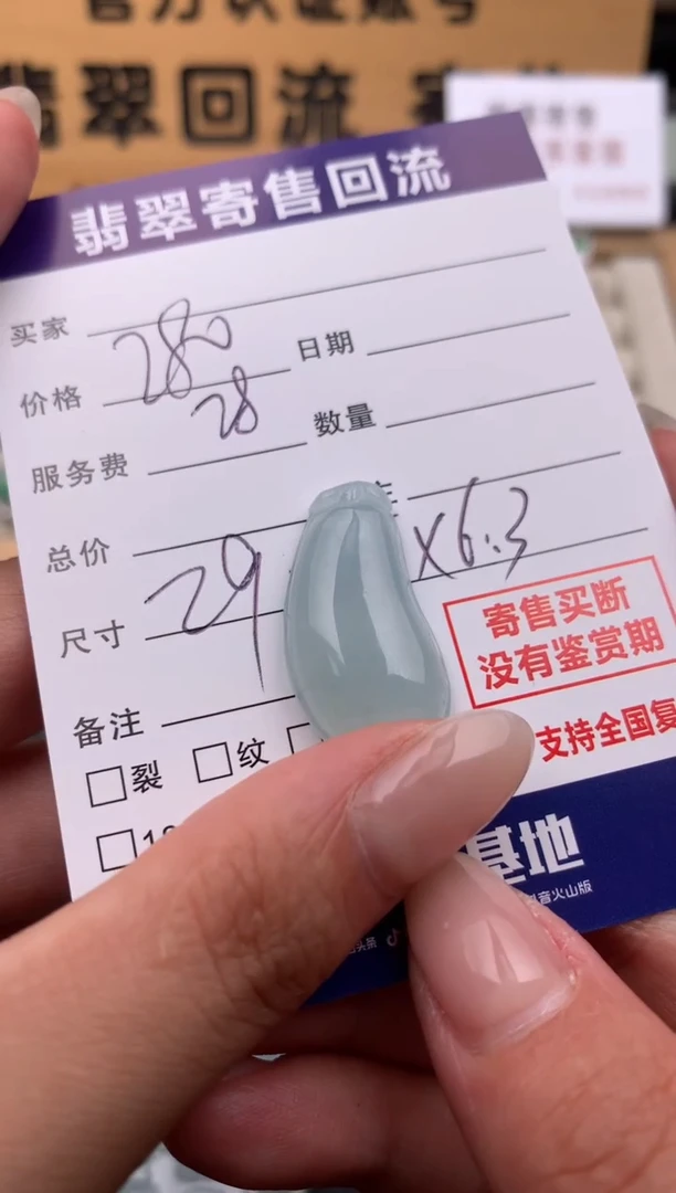 翡翠未镶嵌颈饰10134420