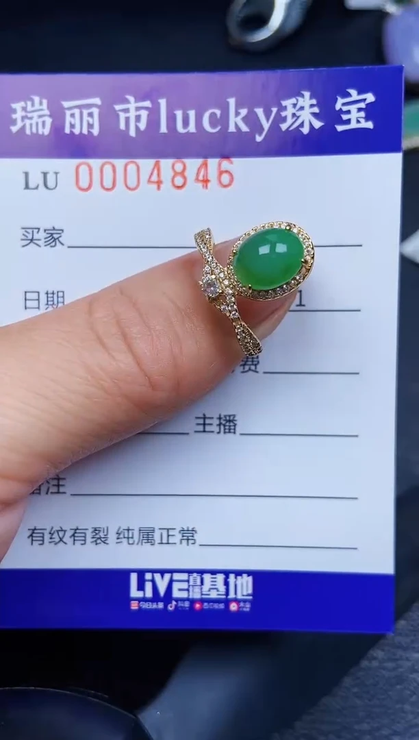 翡翠银S925镶嵌颈饰4846