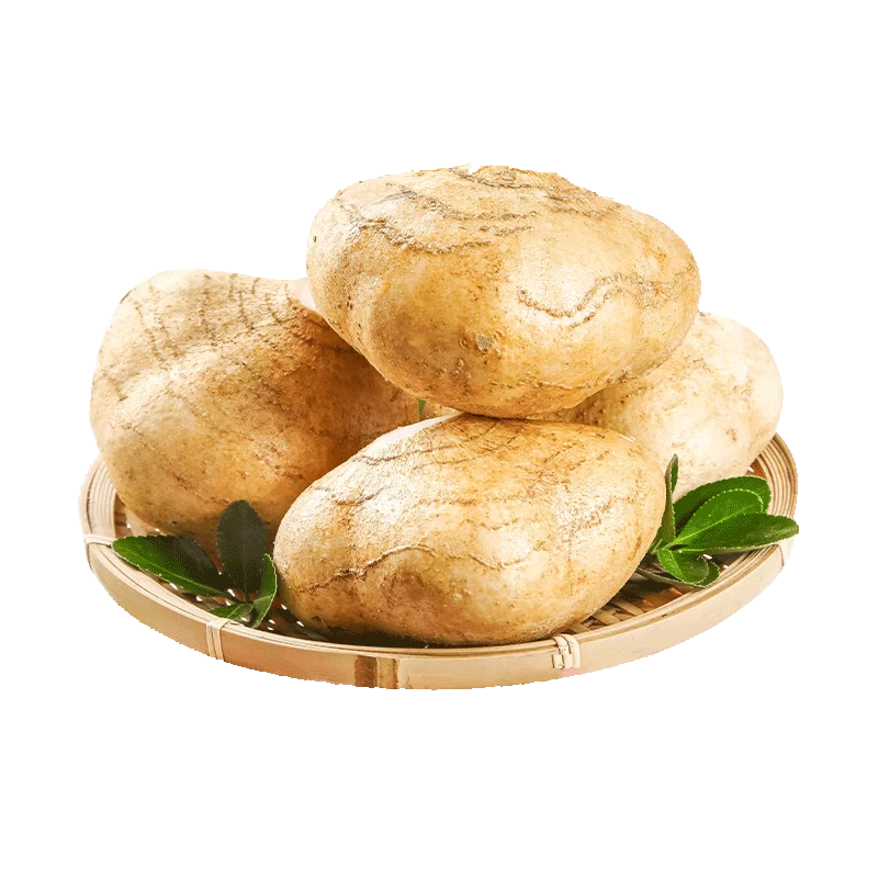 【助农专属】广西沙地凉薯现挖新鲜蔬菜应季水果白地瓜