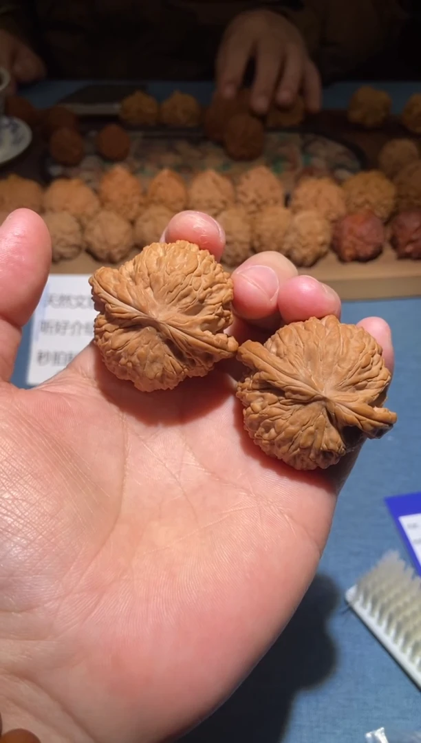 把件文玩核桃105白狮子45尺