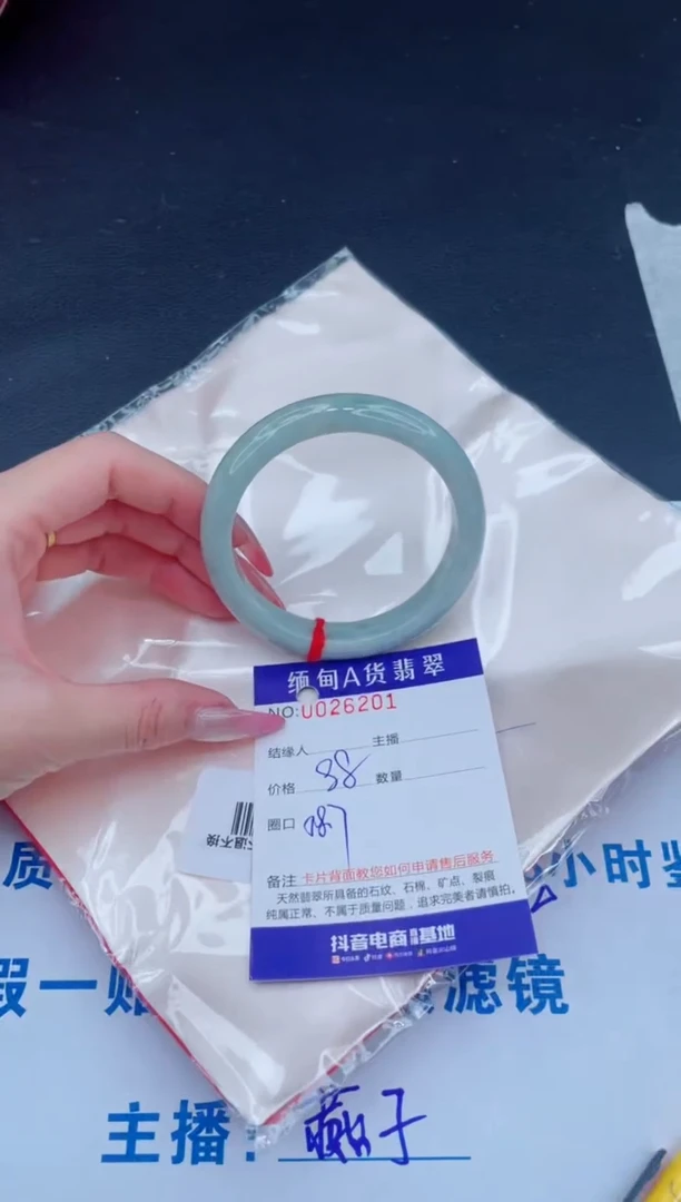 未镶嵌手镯翡翠88.00