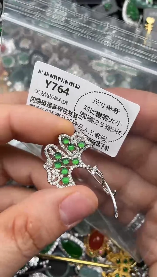 颈饰未镶嵌翡翠Y764胸针