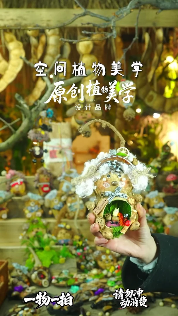 香榧木豆荚娃娃一物一拍