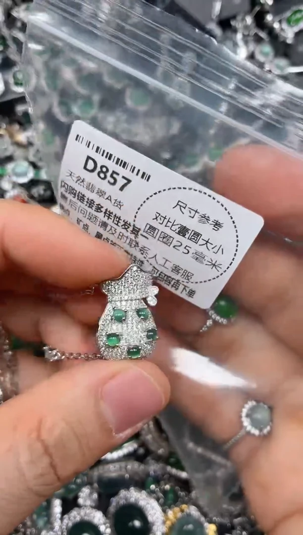 颈饰未镶嵌翡翠D857项链