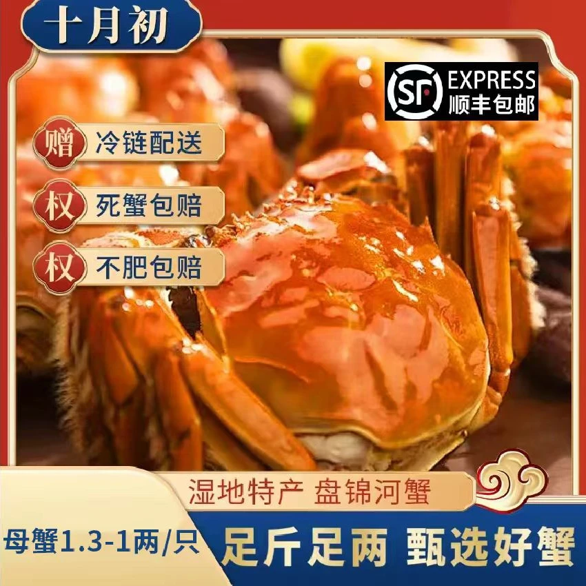 【活蟹】盘锦稻田蟹 全母蟹1.3-1两/只 2/3斤 顺丰包邮 礼盒包装