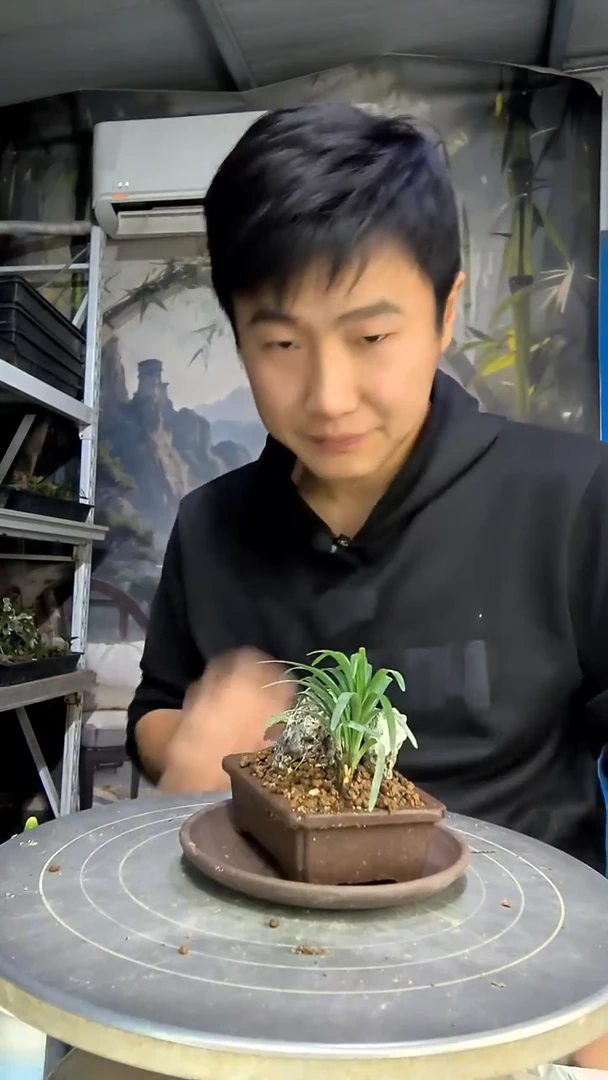 短***娅中青园艺一物一拍花499