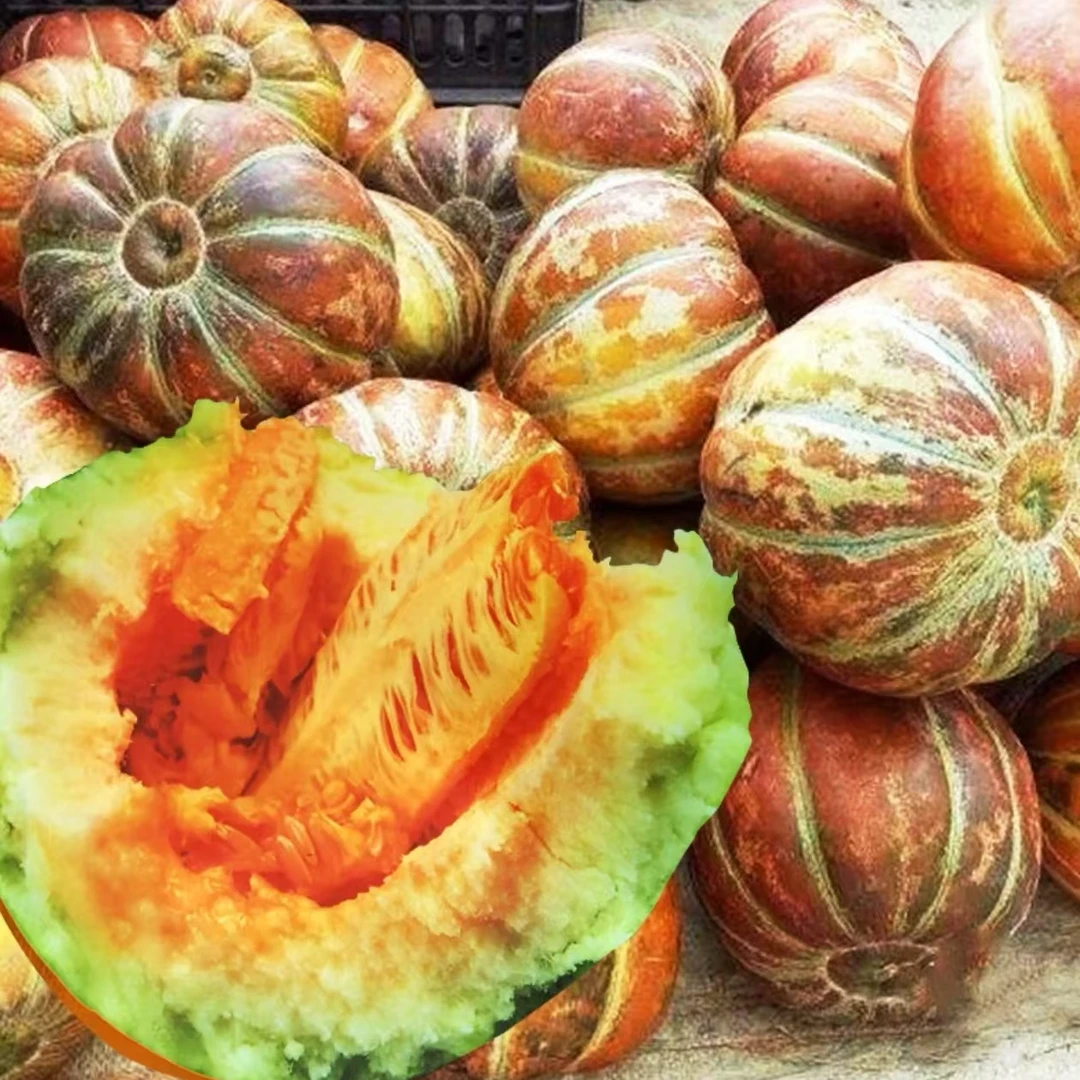 【黄皮面瓜种子】四季种植盆栽地栽阳台小院