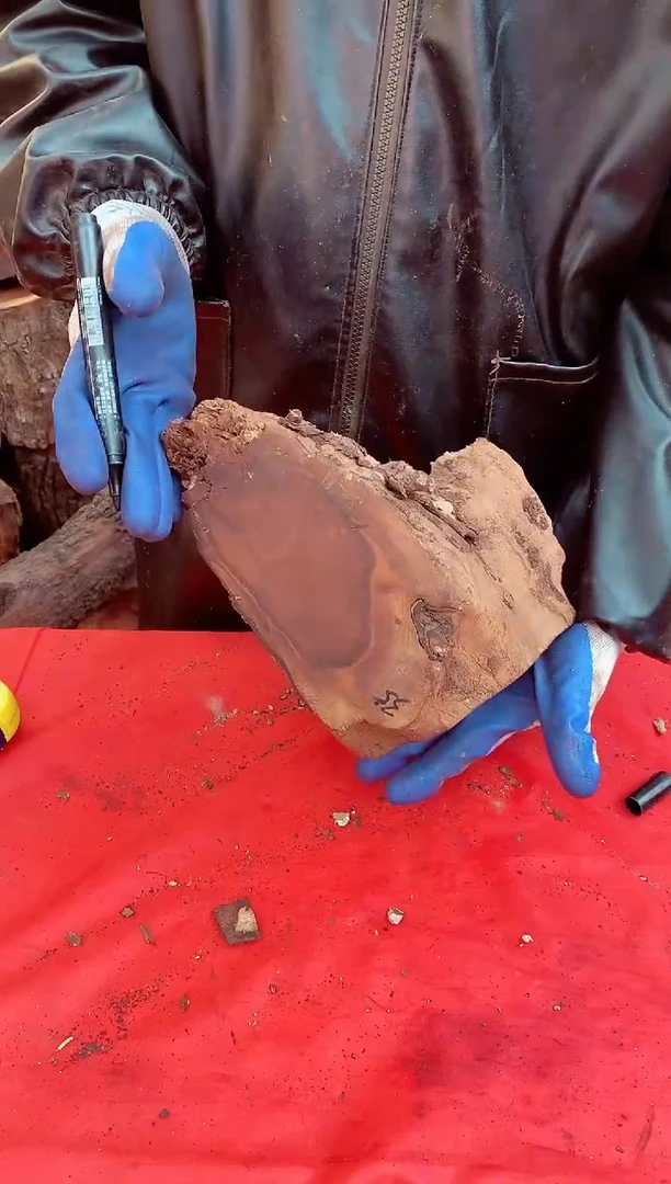 【闪购商品】枣木【35】号原木段，尺寸随行