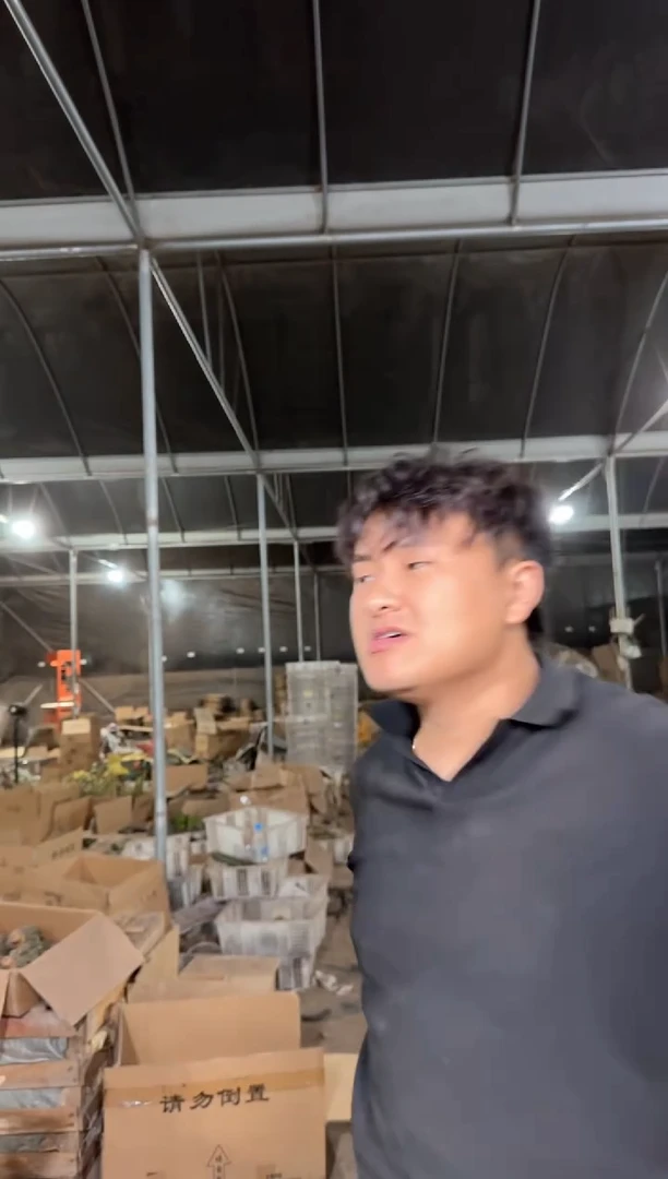 一框5颗【大小 品种不指定】无售后