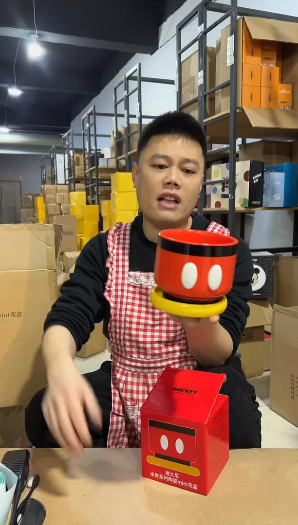 【闪购商品】杯陶瓷原盒米奇花盆