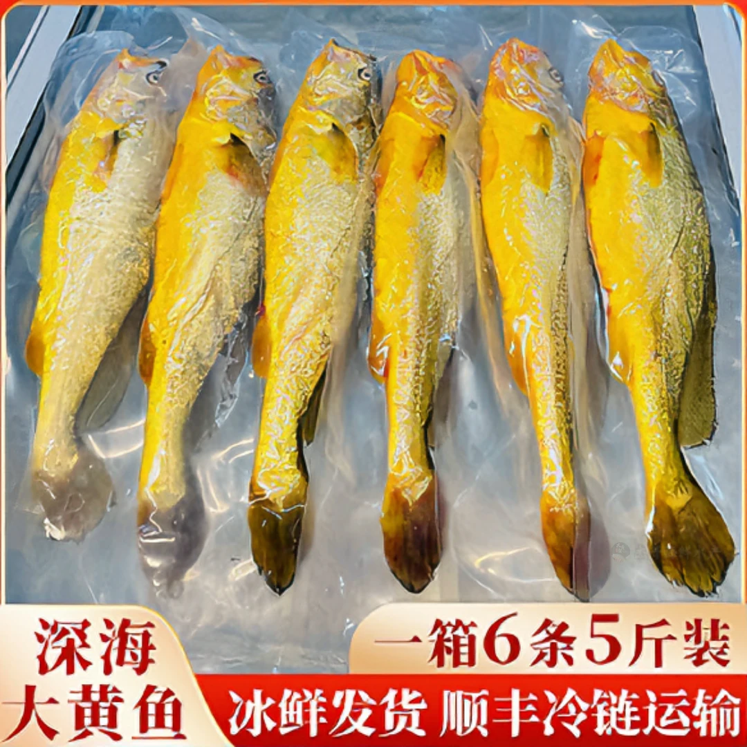 宁德深海大黄鱼,无土腥味无泥腥味,冰鲜发货,顺丰冷链,新鲜到家
