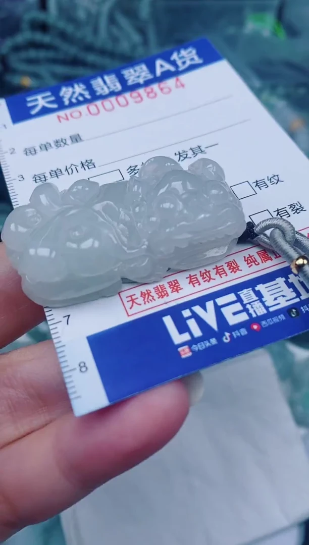 颈饰未镶嵌翡翠00009864