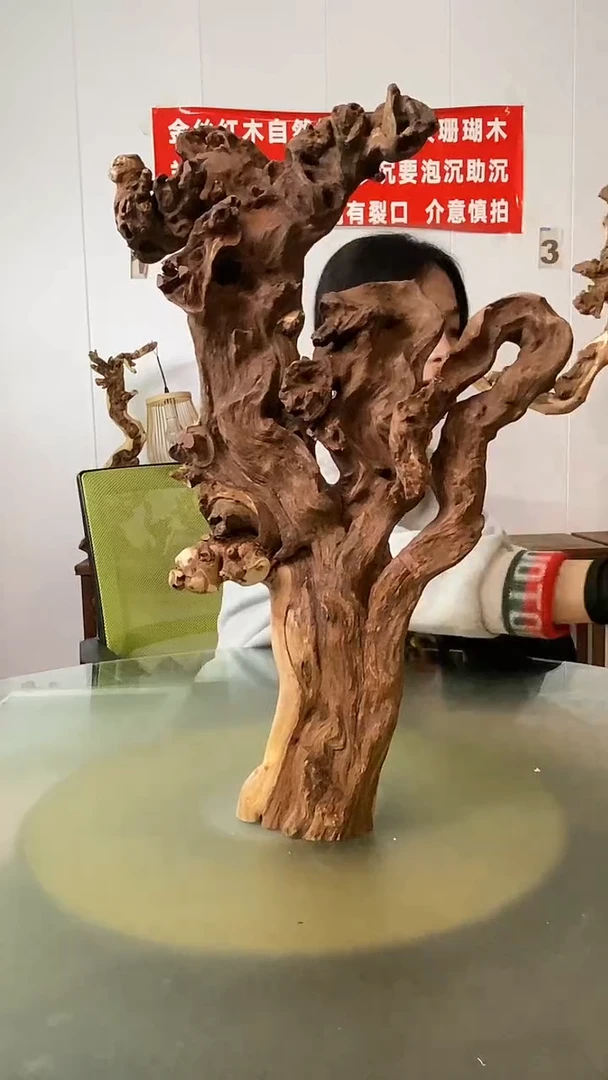 木人****?金丝红木 羊蹄甲