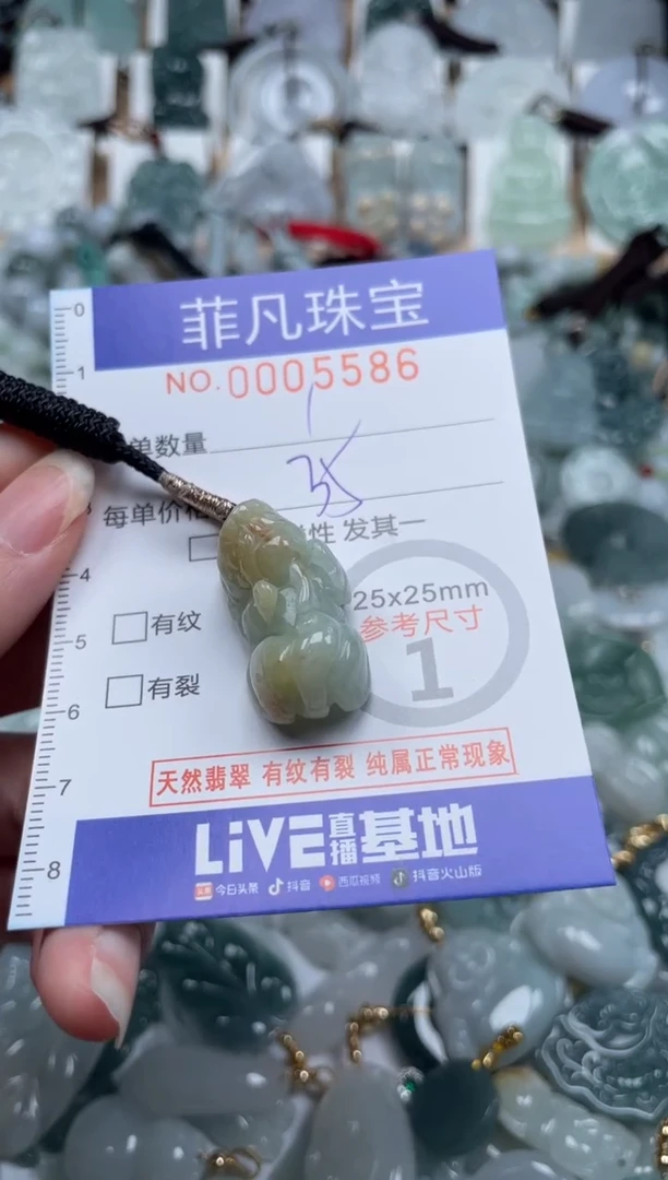 翡翠未镶嵌颈饰00..5586