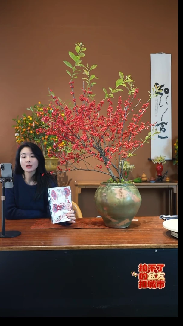 全部花朵冬青盆景盆景盆景